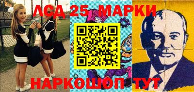 прущие грибы Будённовск