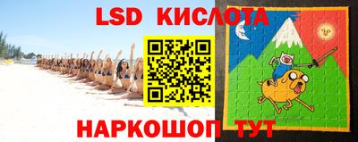 прущие грибы Будённовск