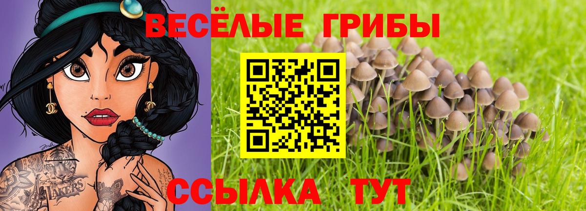 Кировск  Галлюциногенные грибы прущие грибы  Вход с VPN 